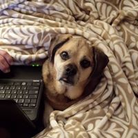 Jennifer Garrett Photo 43