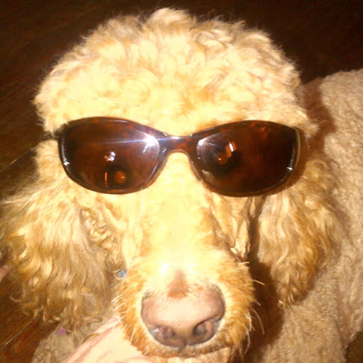 Thomas Preston Photo 53 Thomas Preston Photo 53