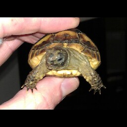 Catherine Rieker Photo 2