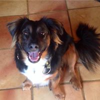 Tracy Connolly Photo 24