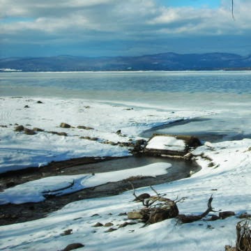 Robin Jenson Photo 9