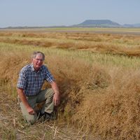 Ron Robison Photo 18
