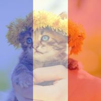 Deborah Henley Photo 17