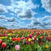 Audrey Workman Photo 17