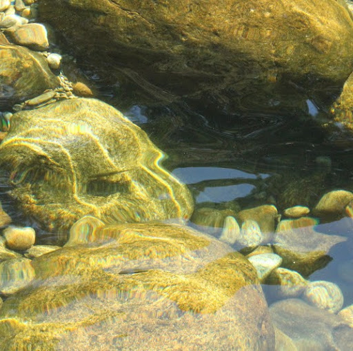 Sara Aguilar Photo 12