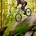Dan Webster Photo 28