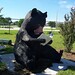 Dorothy Beckwith Photo 21