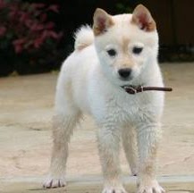 April Hamilton Photo 31