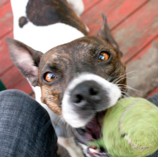 Melissa Danielson Photo 18