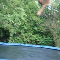 Joel Erickson Photo 38