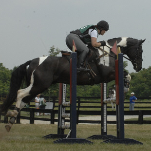 Terry Lockhart Photo 9