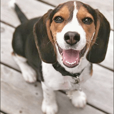 Gregory Stapleton Photo 11