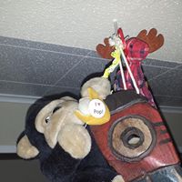 Josh Barron Photo 21