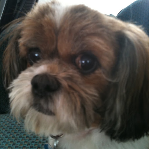 Janice Bauer Photo 8