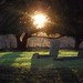 Christian Tews Photo 5