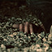 Jacob Mcclure Photo 24