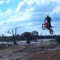 Louis Volpe Photo 10