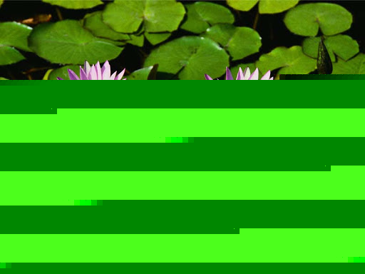 Laurie Huber Photo 9