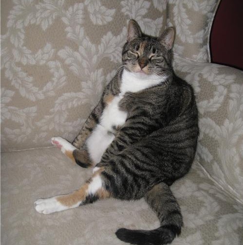 Anna Andersen Photo 30 Anna Andersen Photo 30