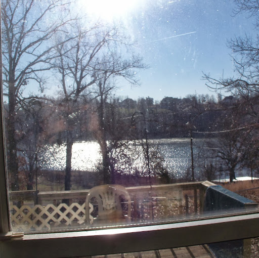 Vicky Carroll Photo 7