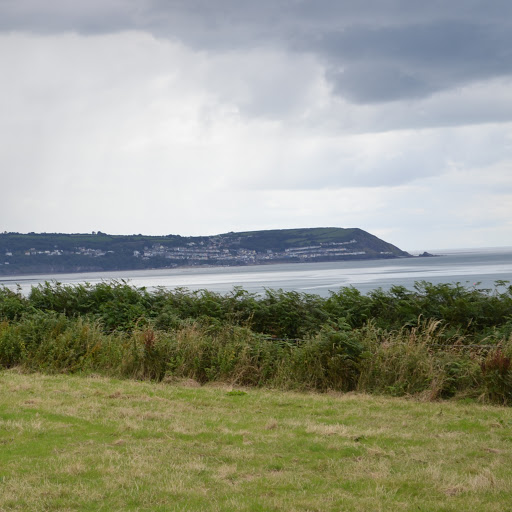 Daryl Roberts Photo 37