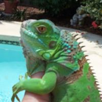 Kent Bullock Photo 12