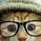 Rick Mayfield Photo 14