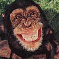 Gerry Anderson Photo 35