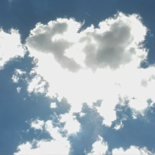 Sara Blake Photo 21 Sara Blake Photo 21