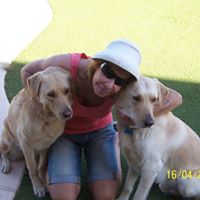 Debra Hartman Photo 13