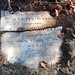Sarah Hale Photo 19