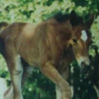 Christine Lininger Photo 2