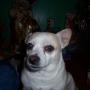 Bob Geiger Photo 8