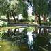 Naomi Hays Photo 6