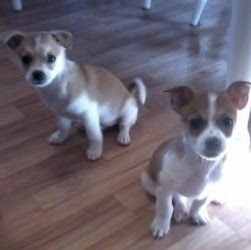 Cindy Richard Photo 13