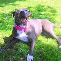 Michael Eriksen Photo 24