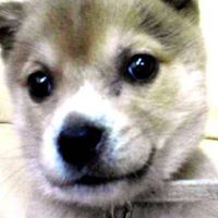 Hannah Gross Photo 24