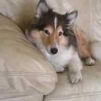 Lynn Maltz Photo 11