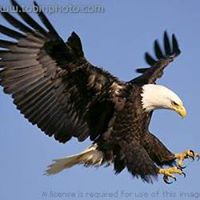 Don Latham Photo 13