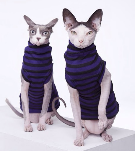 Dana Mcgowan Photo 19