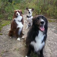 Debra Shearer Photo 19