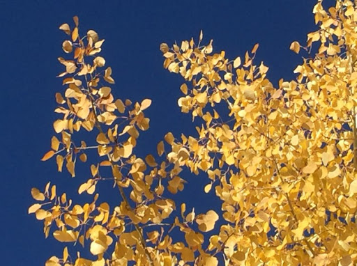 Teresa Keller Photo 25