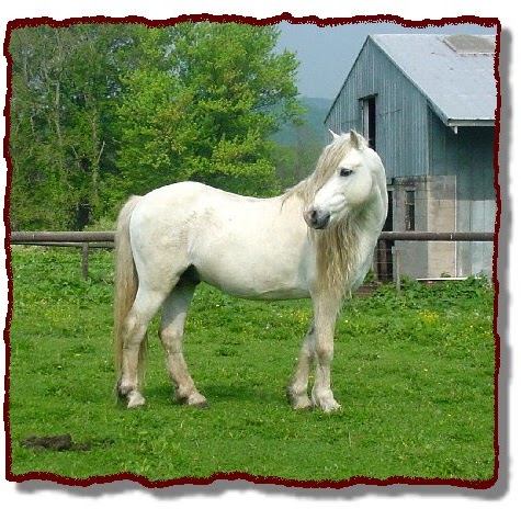 John Hannan Photo 13