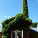 Peter Andren Photo 8