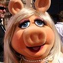 Janice Schilling Photo 7