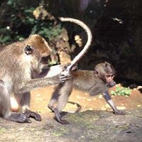 Andrew Pride Photo 23