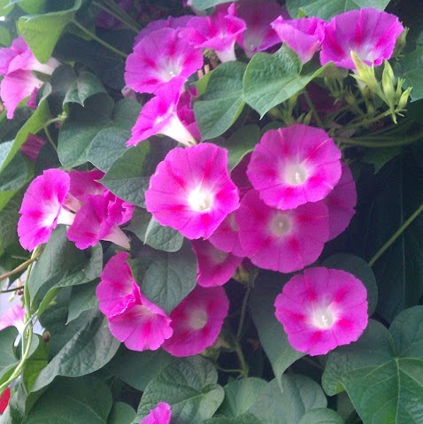 Kelli Swanson Photo 11