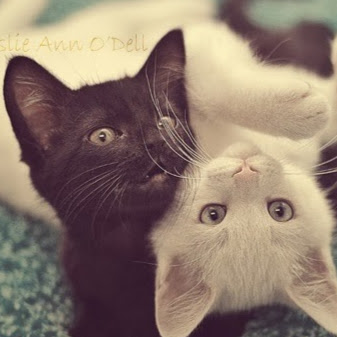 Renee James Photo 23 Renee James Photo 23