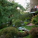 Anne Fuller Photo 36