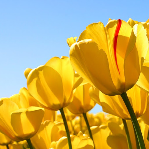 Laura Edwards Photo 9